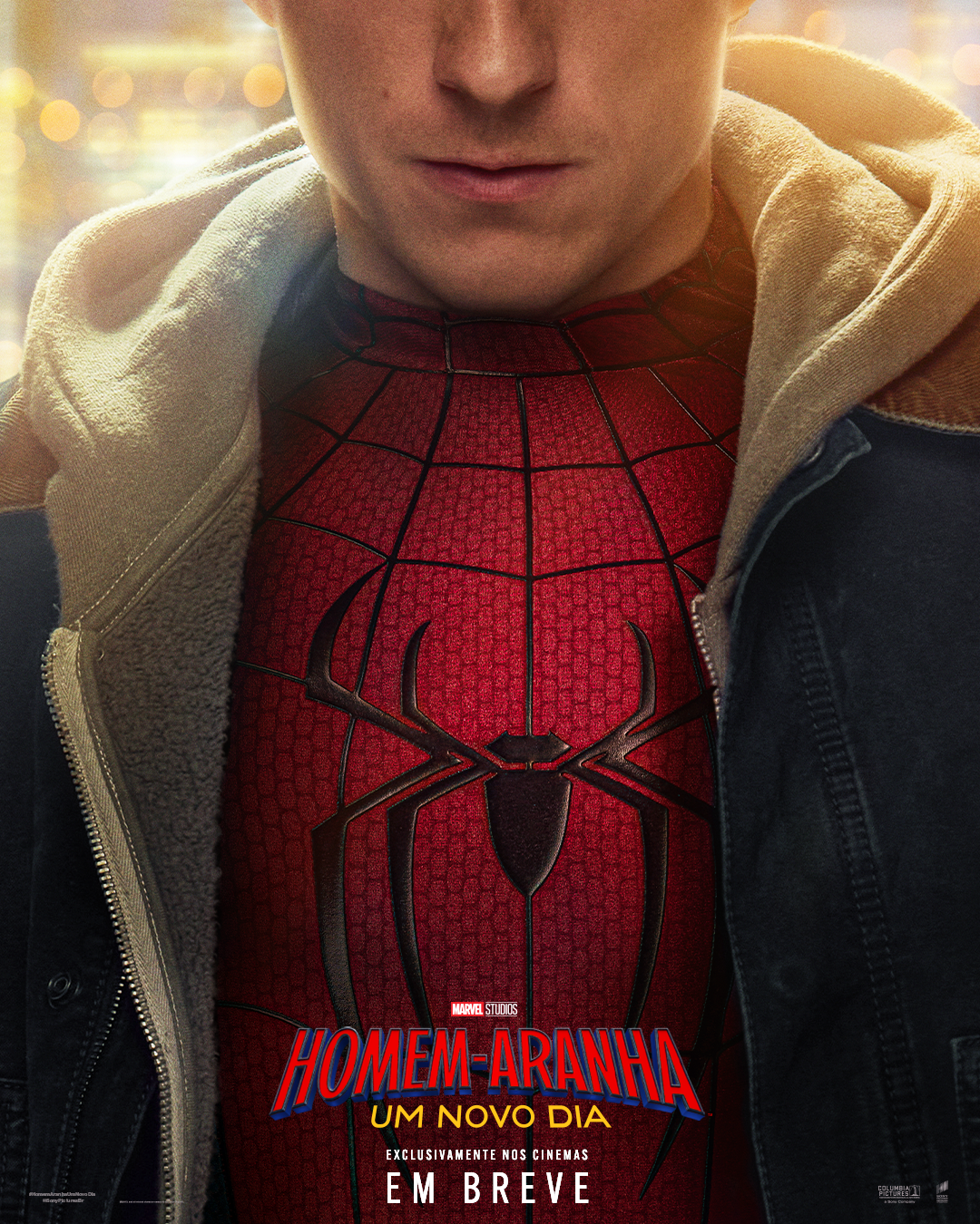 Homem Aranha Um Novo Dia