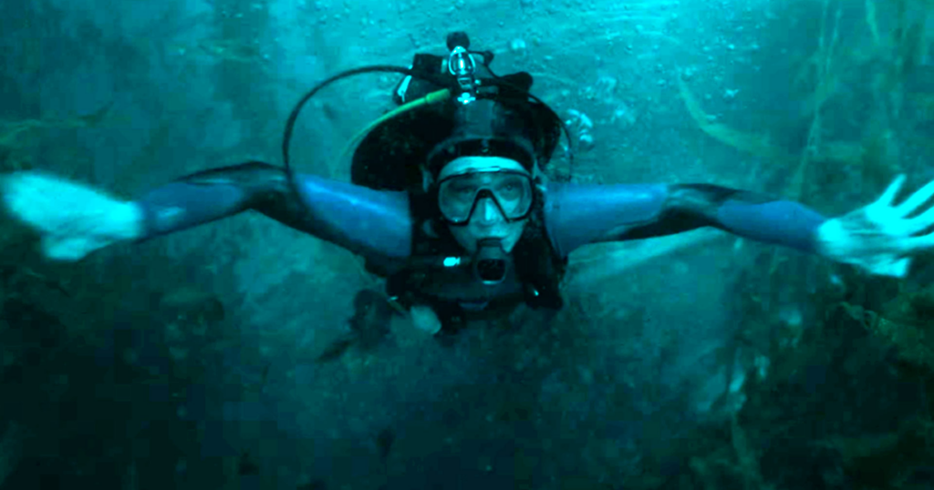 Dentro da Baleia