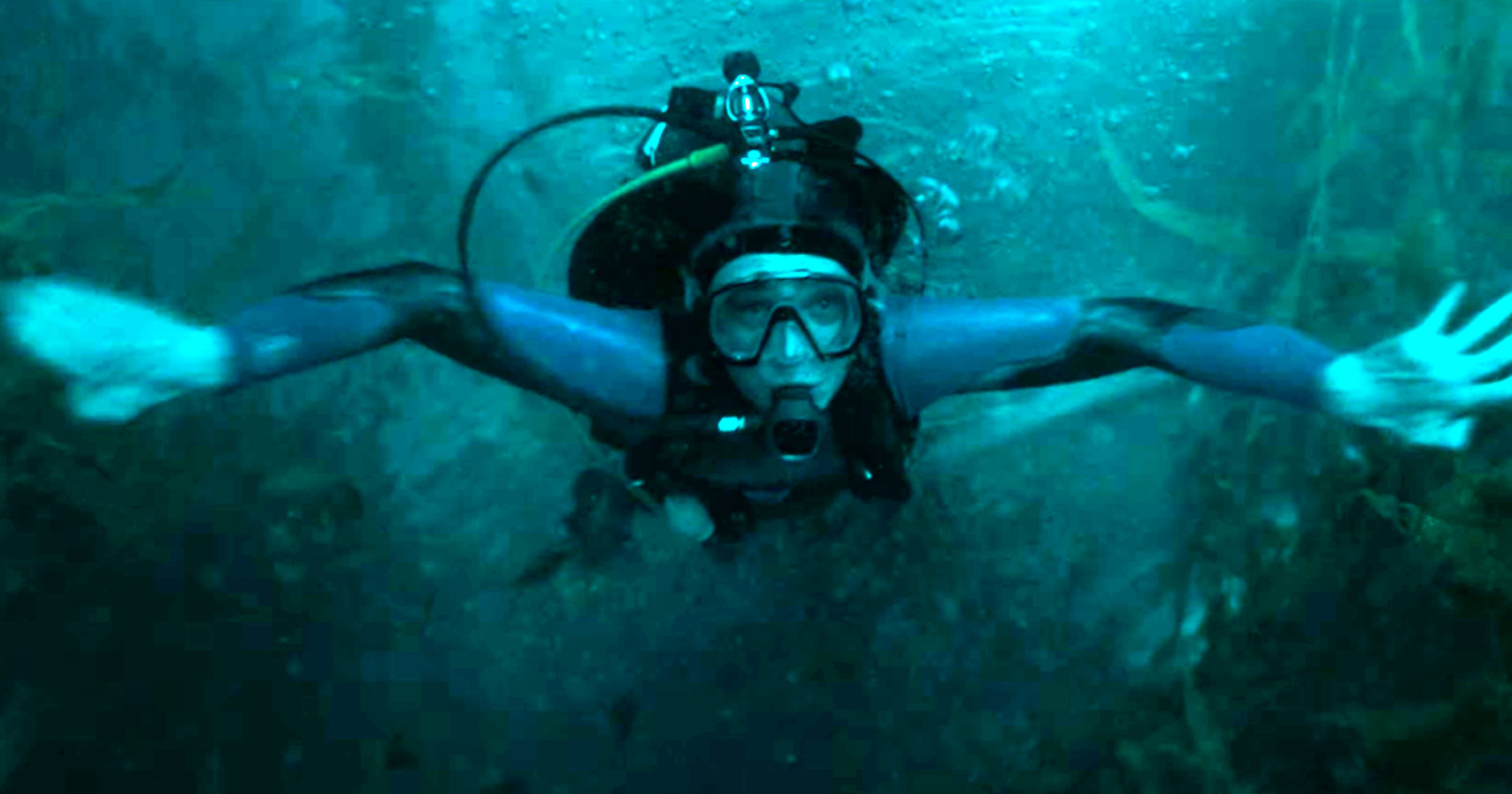 Dentro da Baleia