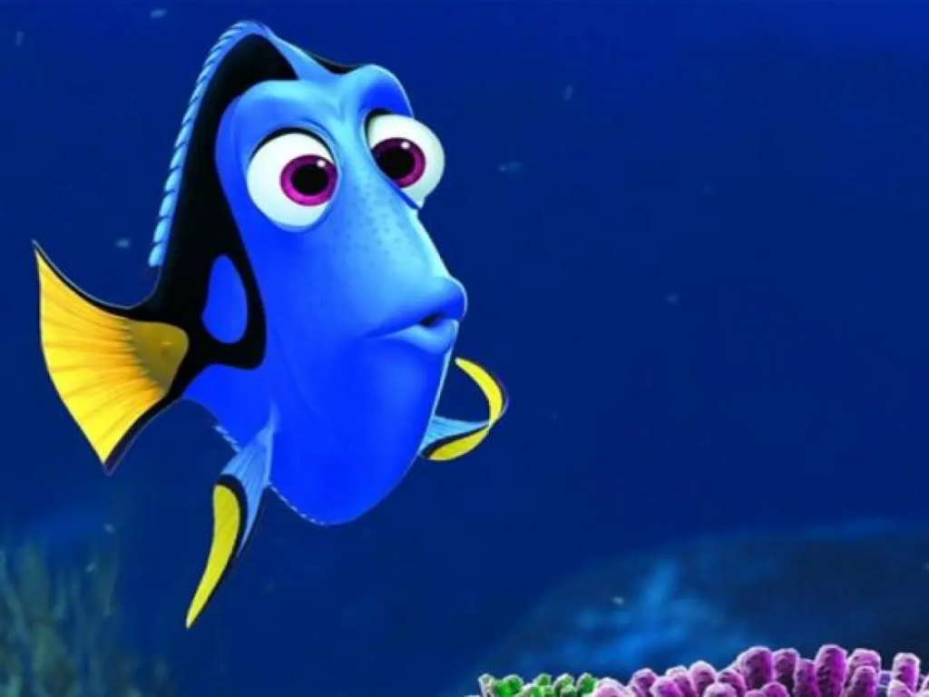 Dory