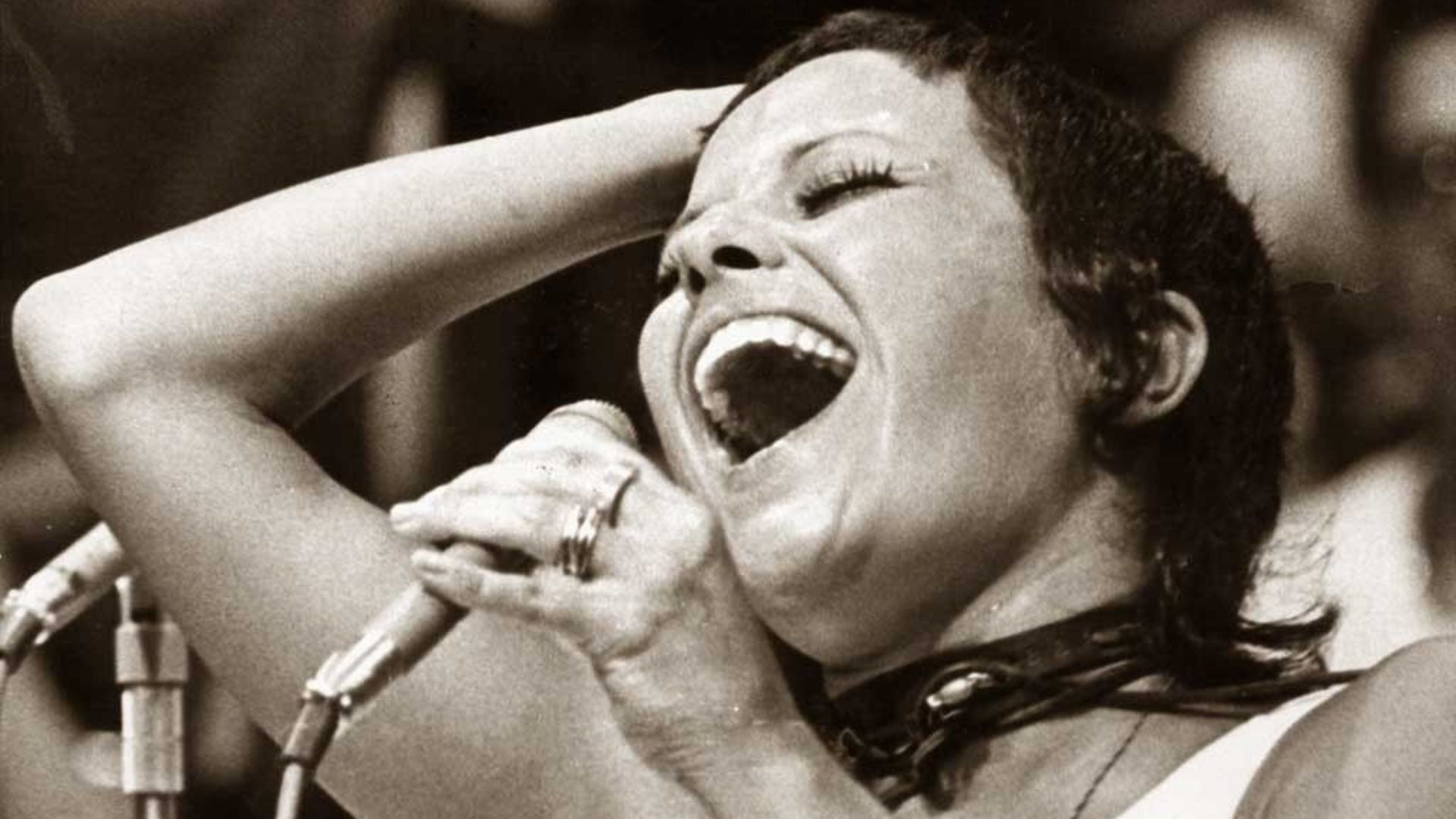 Elis Regina